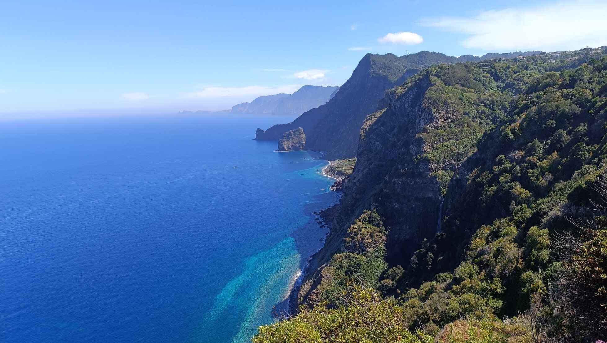 The best from Madeira, by your local guides.