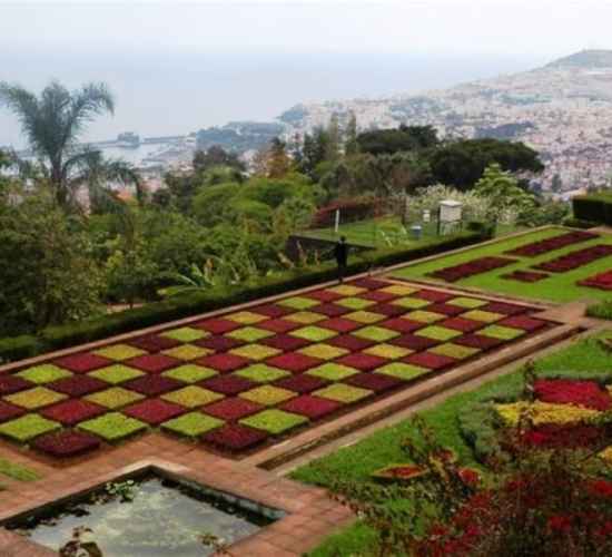 Excursão dos Jardins – Meio Dia Privada na Madeira