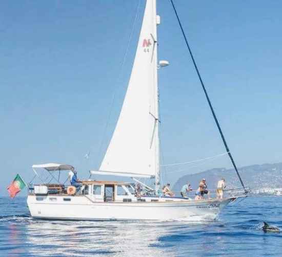 Desertas Islands Tour on Sailboat Madeira