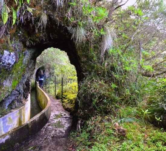 PR10 Levada do Furado na Ilha da Madeira