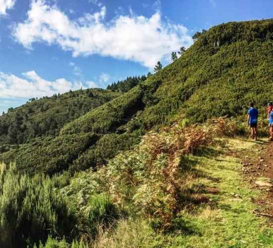 Santo da Serra Trail Tour Médio na Ilha da Madeira