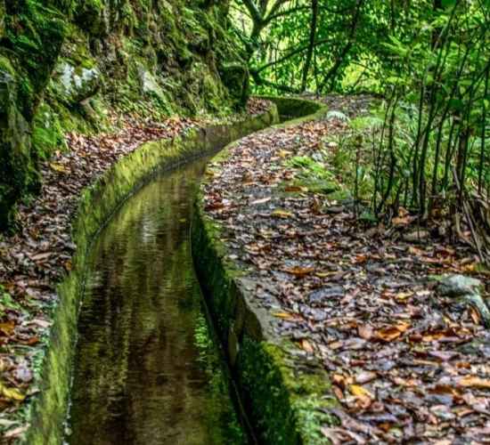 Urzal (hard) trail tour in Madeira Island