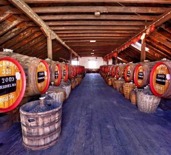 Visita de degustação de vinhos Premium Blandy